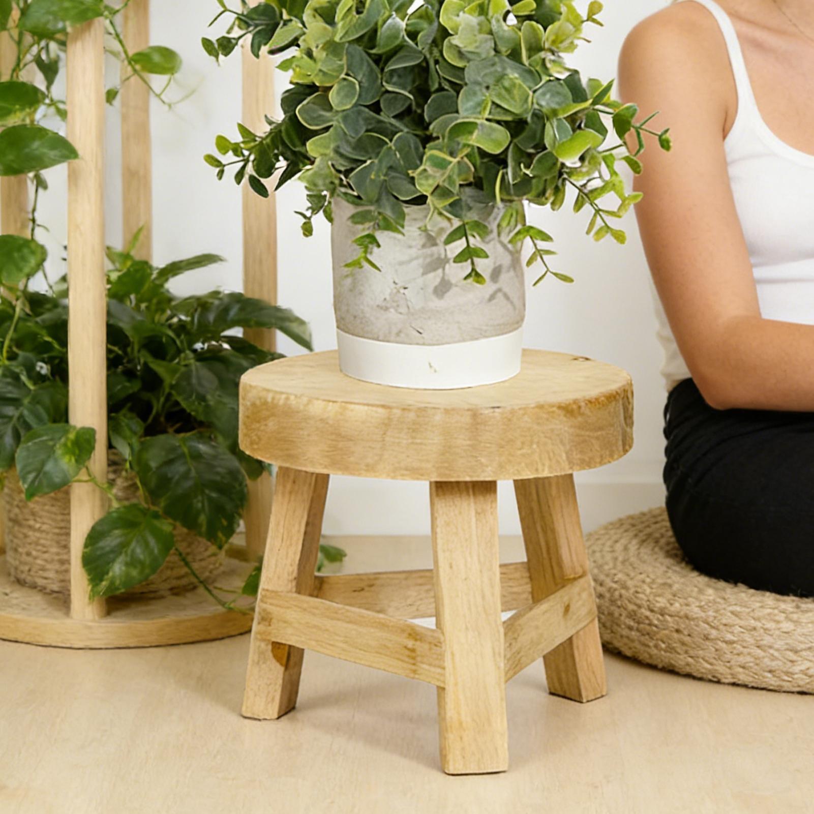 Round Plant Stool Wooden Small - Desk Setup Riser 评论和价格