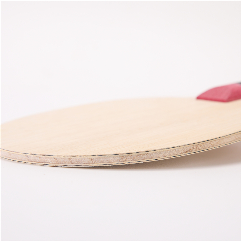 Stuor 5 Layers Wood With 2 Lay - Desk Setup Tips 评论和价格